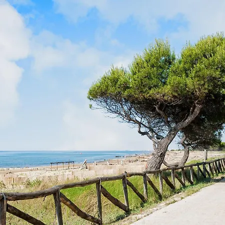 In With Fenced Garden 比比翁